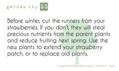 Continue harvesting crops