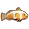 Clown Fish