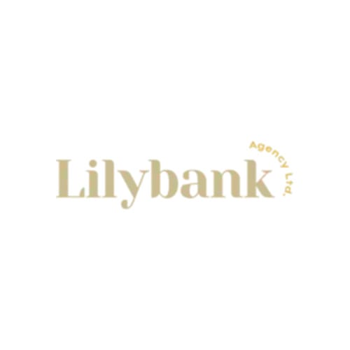Premier Web Development and Design Agency in UK -  The Lilybank Agency