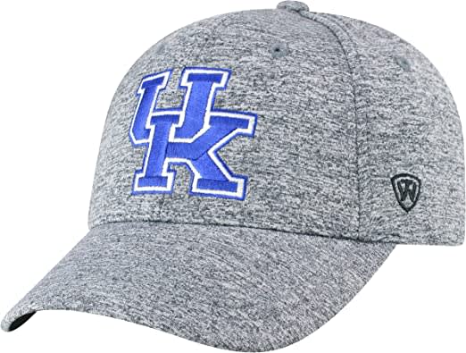 Adjustable Steam Charcoal Icon Hat