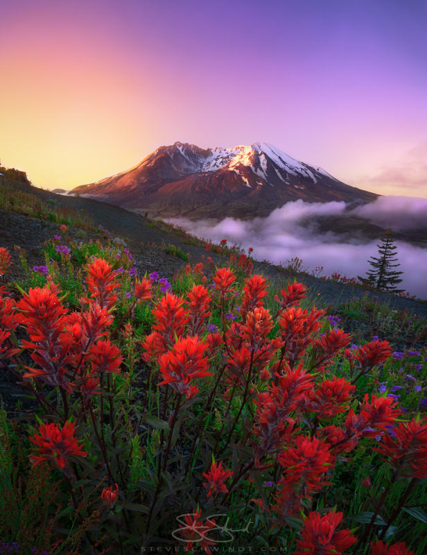 Mount St. Helens