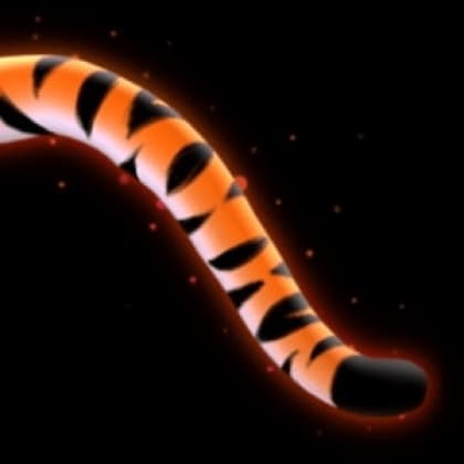 2022 Lunar New Year: Tiger