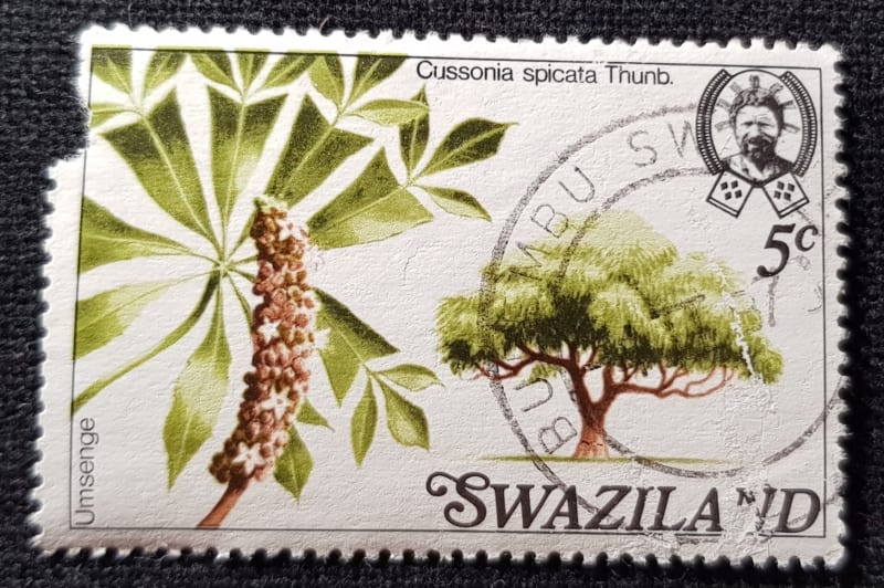 Swaziland