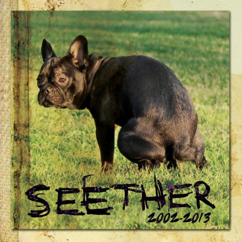 Seether
