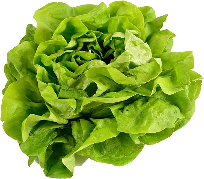 Lettuce