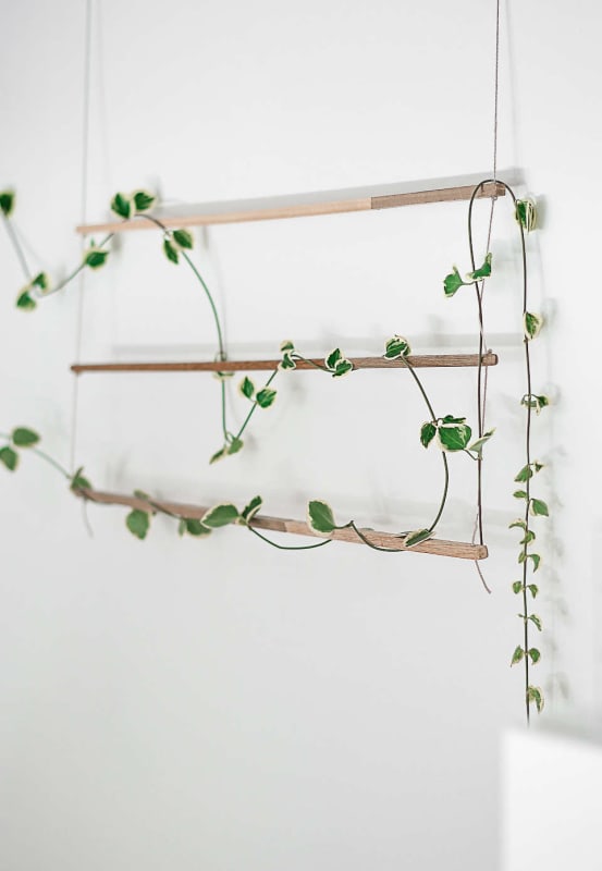 DIY With Indoor Plants