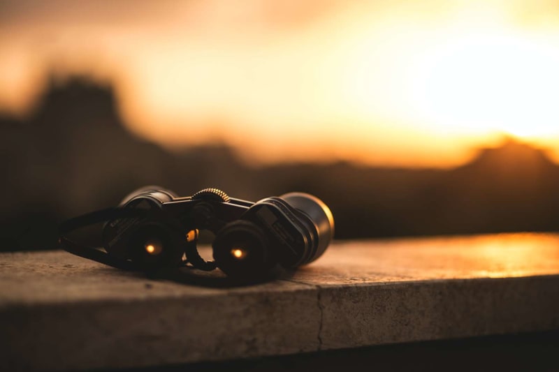 Best binoculars for long distances (for every budget!)