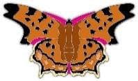 Comma Butterfly