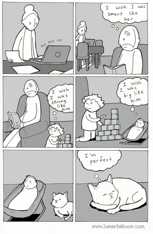 lunarbaboon