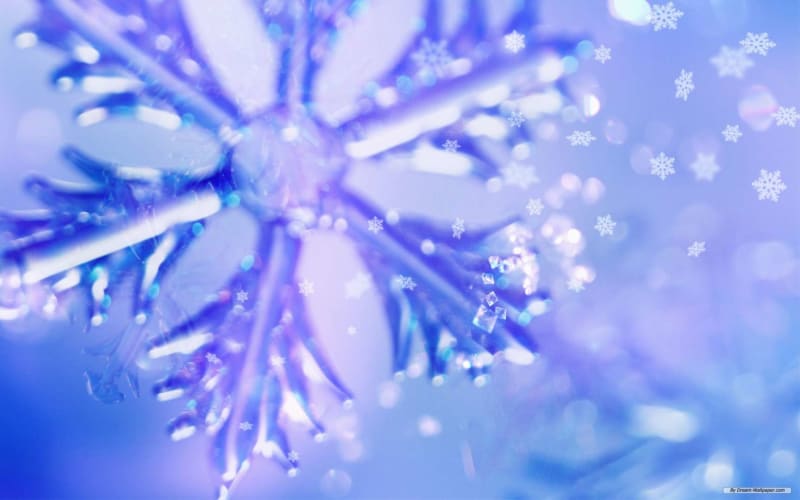 50 Things to Do This Winter