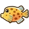Boxfish