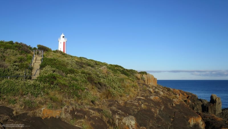 Climbing & Traversing