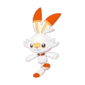 Scorbunny