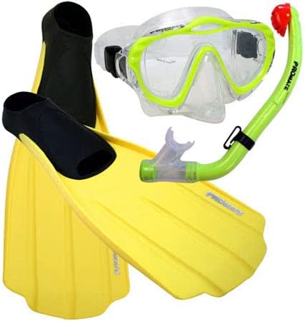 Mask Dry Snorkel Full Foot Fins Set