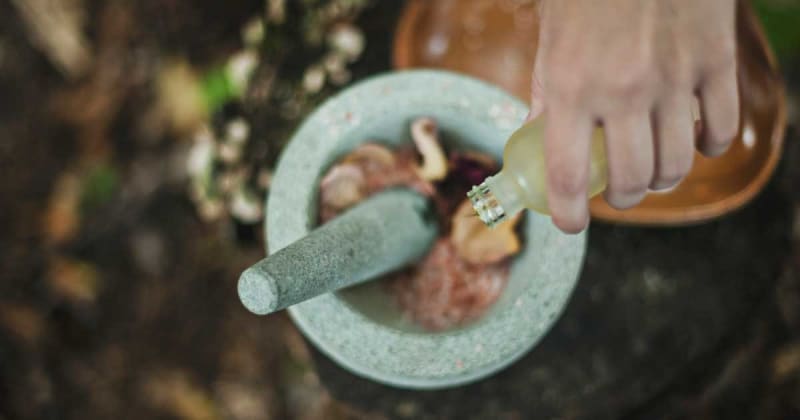 Ayurveda Medicine – The Ancient Science of Healing and Balance