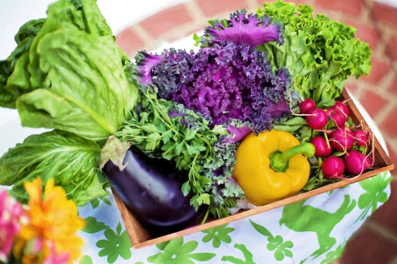 Easiest Vegetables to Grow