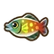 Rainbowfish