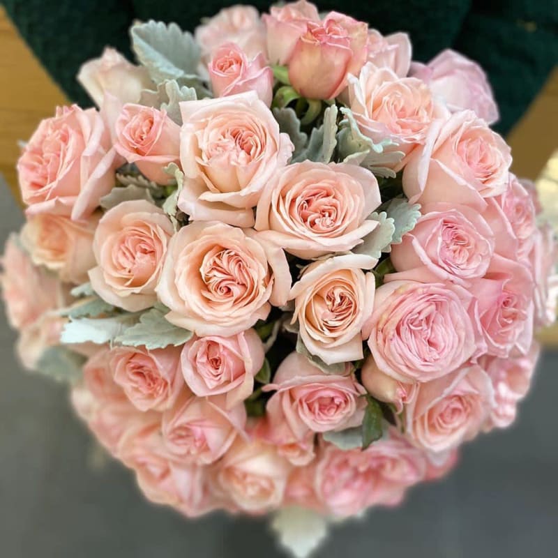 Floraison Melbourne