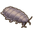 Giant Isopod