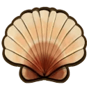 King scallop