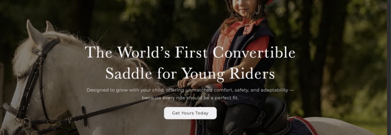 Horse Saddle