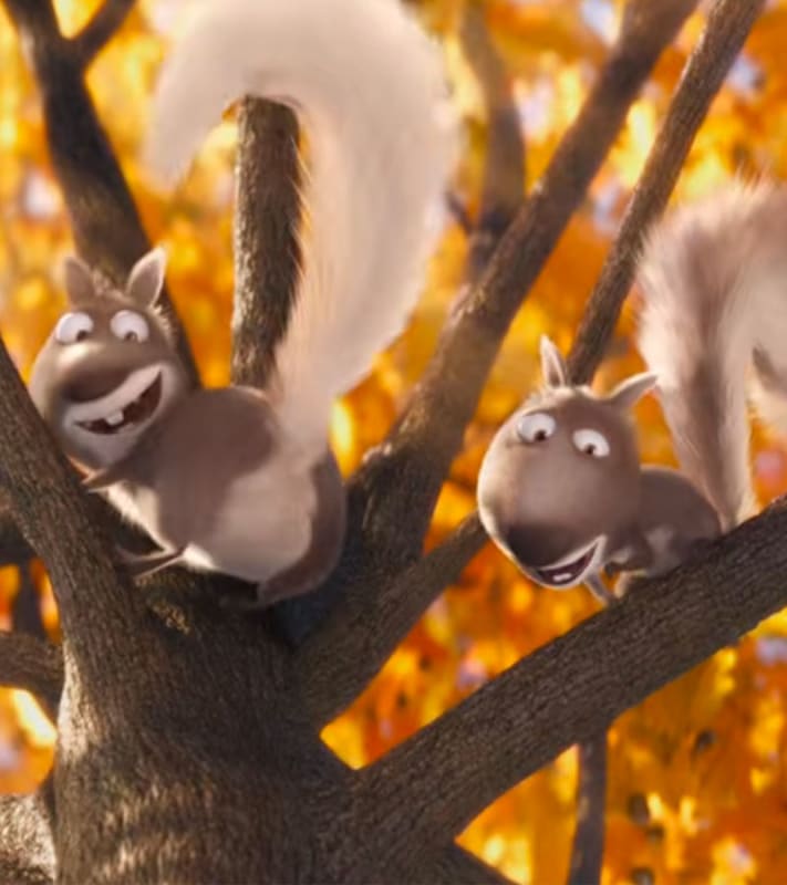 Squirrels