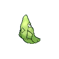 Metapod