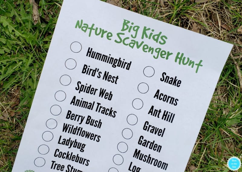 Go on a nature scavenger hunt