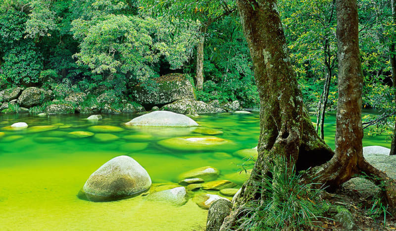 Mossman Gorge