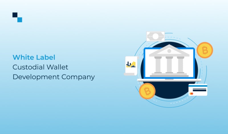 Join Hands with a Well-Known White Label Custodial Wallet Development Company