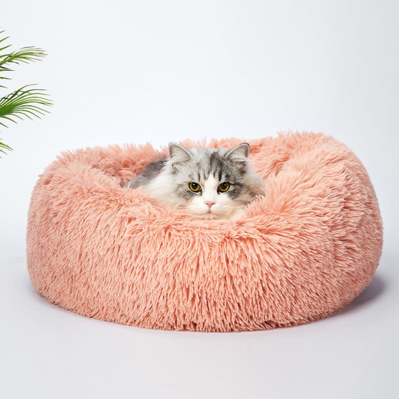 Pet Bedding