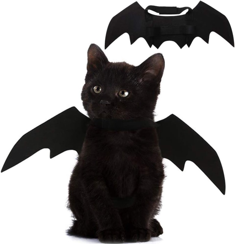 Pet Cat Bat Wings for Halloween Party Decoration