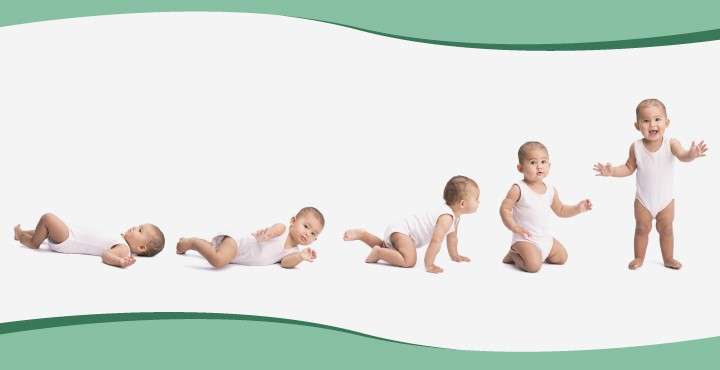 Baby Development Timeline