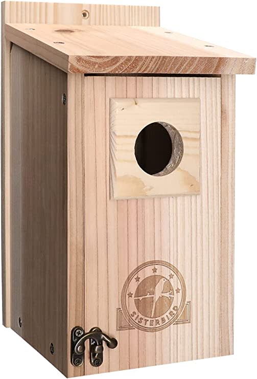 Bird Houses for Outside