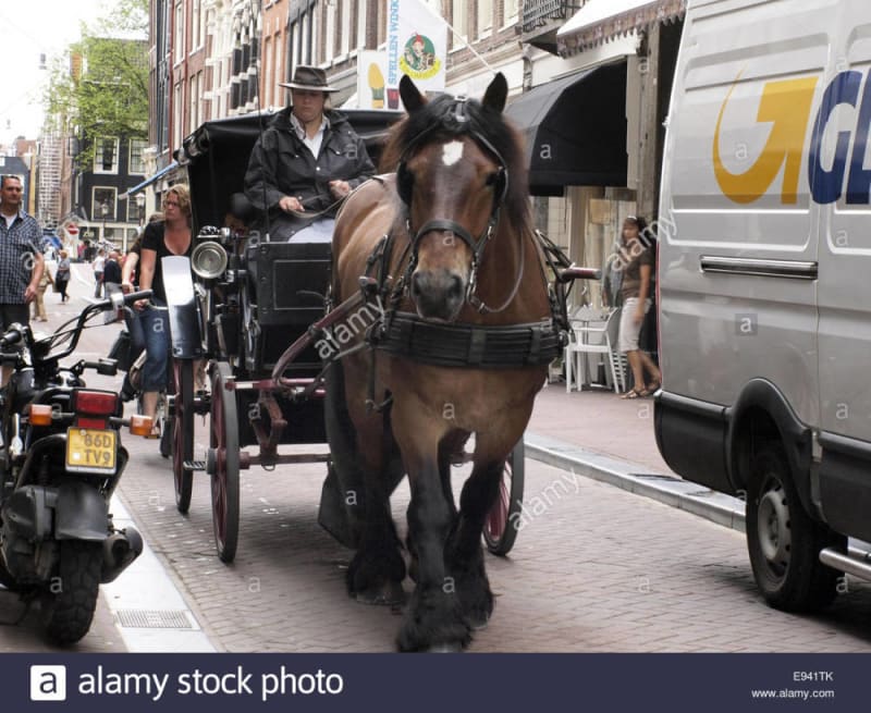 De Negen Straatjes (The 9 Streets)