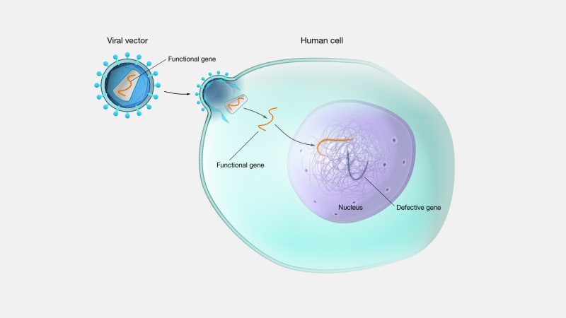 2 - Gene therapy