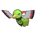 Xatu