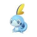 Sobble