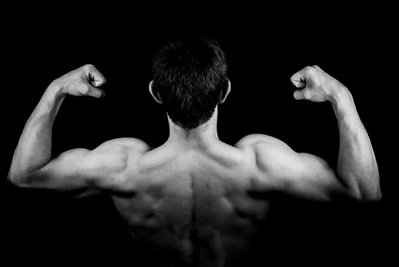 Tips for Bulking Up