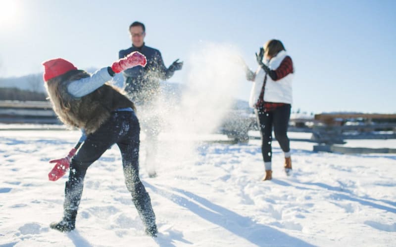 Have a snow ball fight