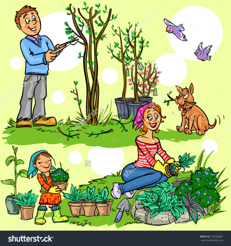 Prune plants and trees