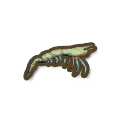 Fresh Water Prawn