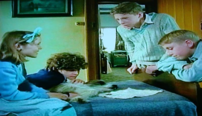 Five Go Adventuring Again (Famous Five #2)