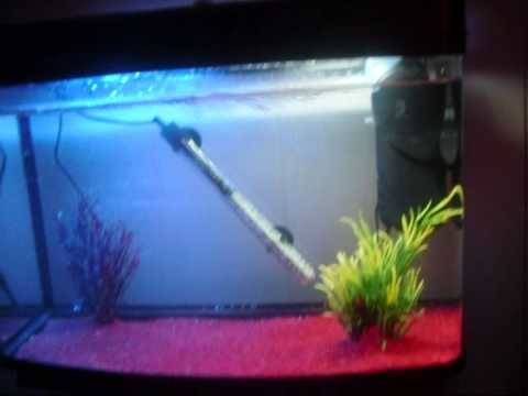 Heater (for tropical fish)