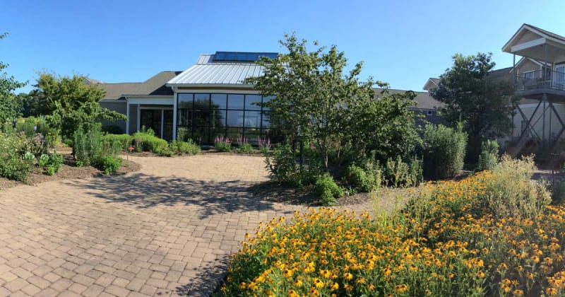 Blackwater Wildlife Refuge Butterfly Garden