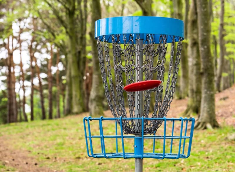 Disc Golf for Beginners
