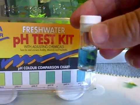 Water Test Kit
