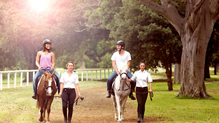 Horseback riding through the scenic trails of Centennial Park