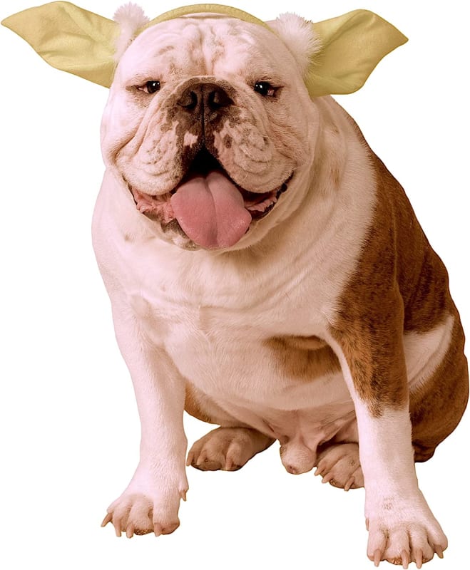 Classic Yoda Dog Headpiece