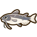 Catfish